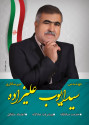 سید ایوب علیزاده