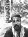 رضا واحدی