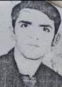 سیدمحمد هاشمی