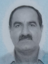 آرمان محمودجانلو