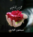 User profile picture