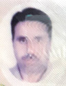 رضا رجبی کیا